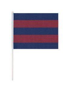BANDERÍN "MIRT"