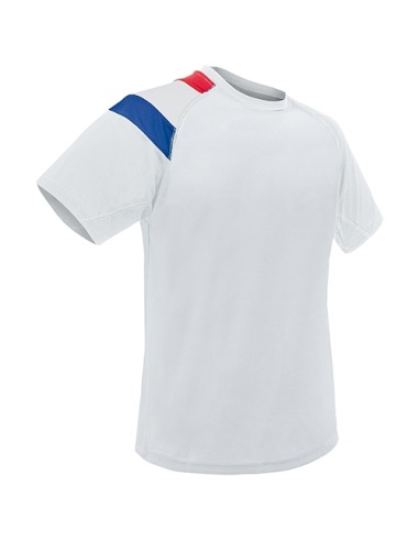 CAMISETA BANDERA FRANCIA  D&FBL "NATIONS"