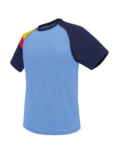 CAMISETA BANDERA D&F AZ-RY "ANDORRA"