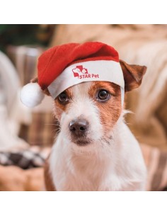 GORRO NAVIDEÑO PARA MASCOTAS "PIPO" 2