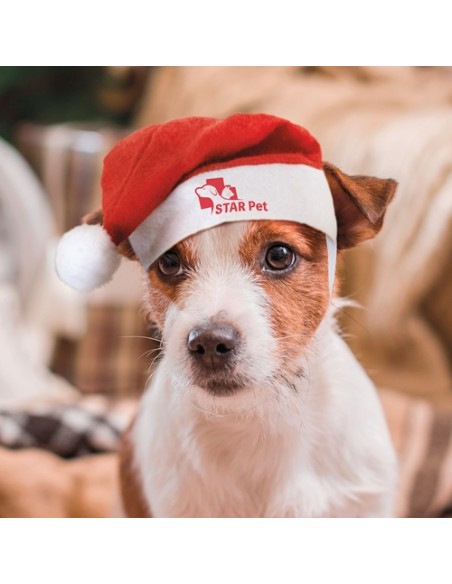 GORRO NAVIDEÑO PARA MASCOTAS "PIPO"