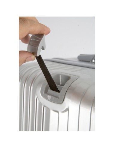 SET TROLLEY WALL STREET