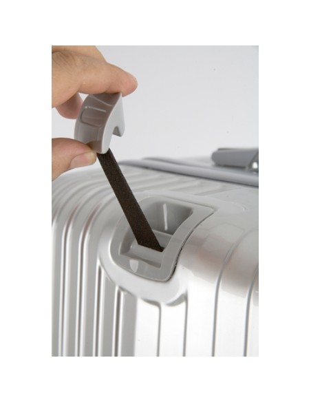 SET TROLLEY WALL STREET