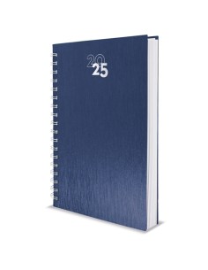 AGENDA ANILLA METALIZADA "NICK" 2