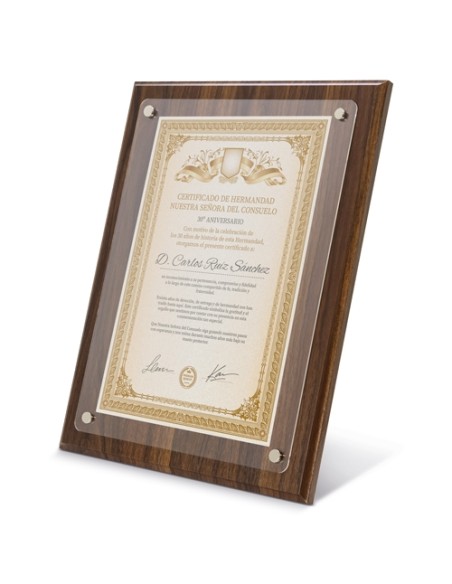 MARCO DE MADERA DIPLOMA A4 "EXCELENCIA"