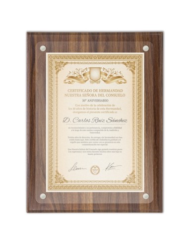 MARCO DE MADERA DIPLOMA A4 "EXCELENCIA"