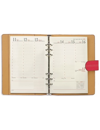 AGENDA MILAN CAMEL SEMANA VISTA