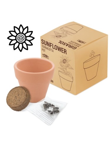 MACETA TERRACOTA COSMOS"FLORAL" 