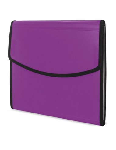 CARPETA CON ARCHIVADOR "GIBSON"