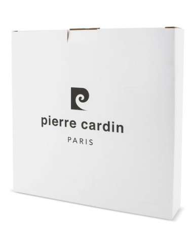RELOJ STEEL PIERRE CARDIN